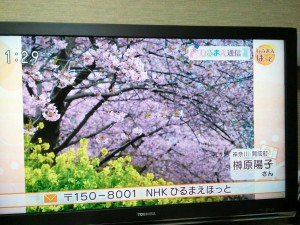 NHK 「ひるまえほっと」季節の写真